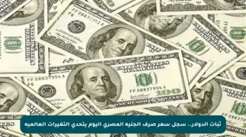 ثبات الدولار.. سجل سعر صرف الجنيه المصري اليوم يتحدى التغيرات العالمية